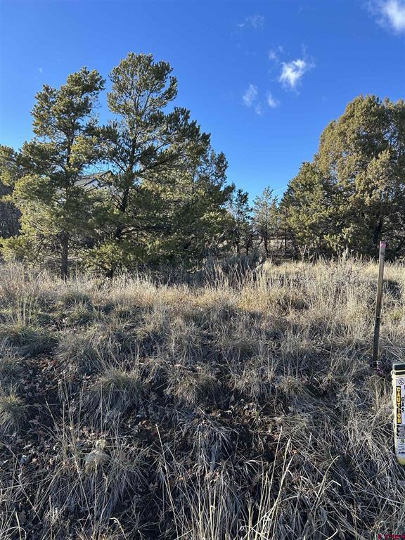 63 Salt Brush Street