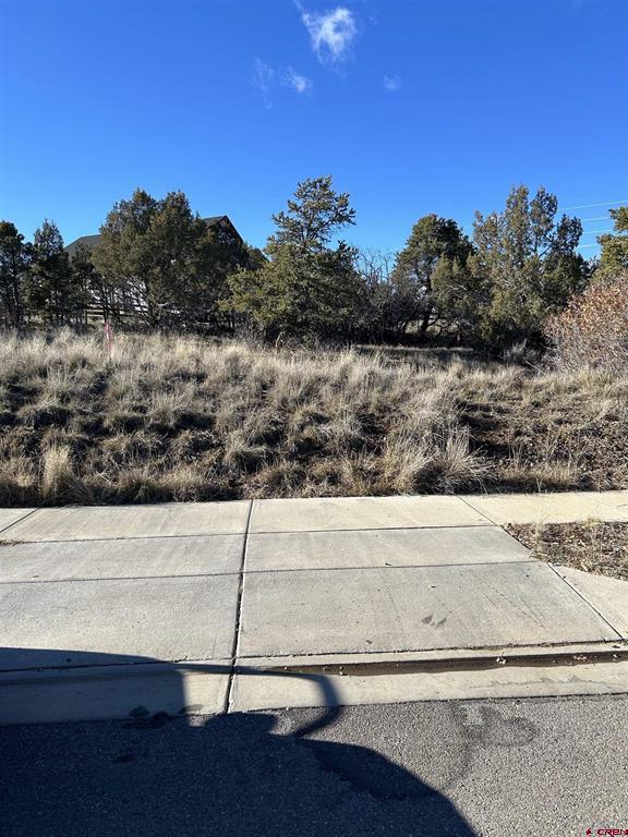 63 Salt Brush Street