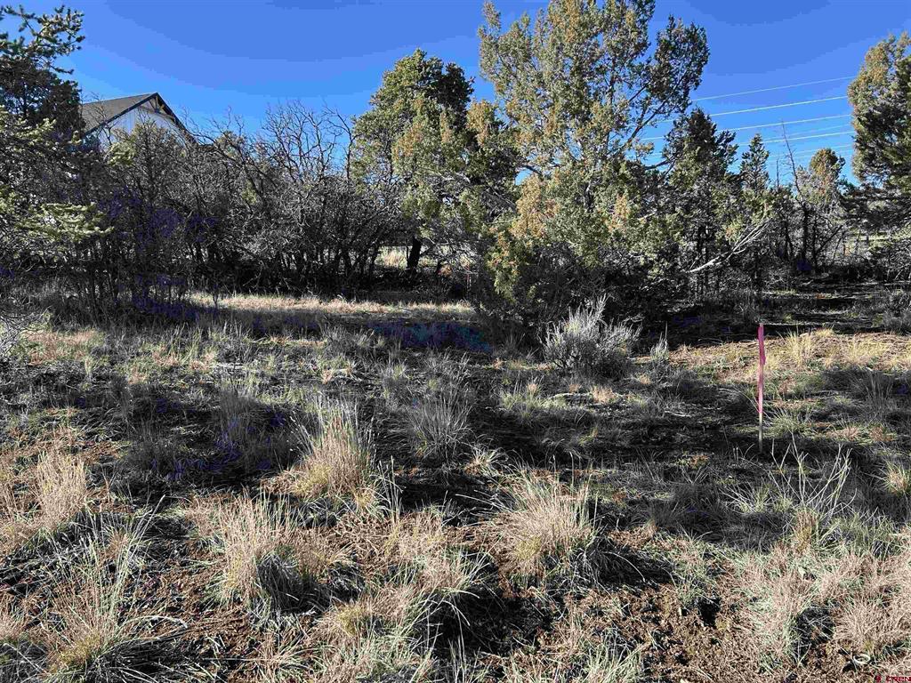 63 Salt Brush Street