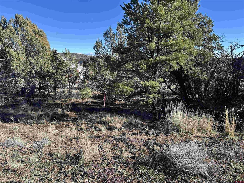 63 Salt Brush Street