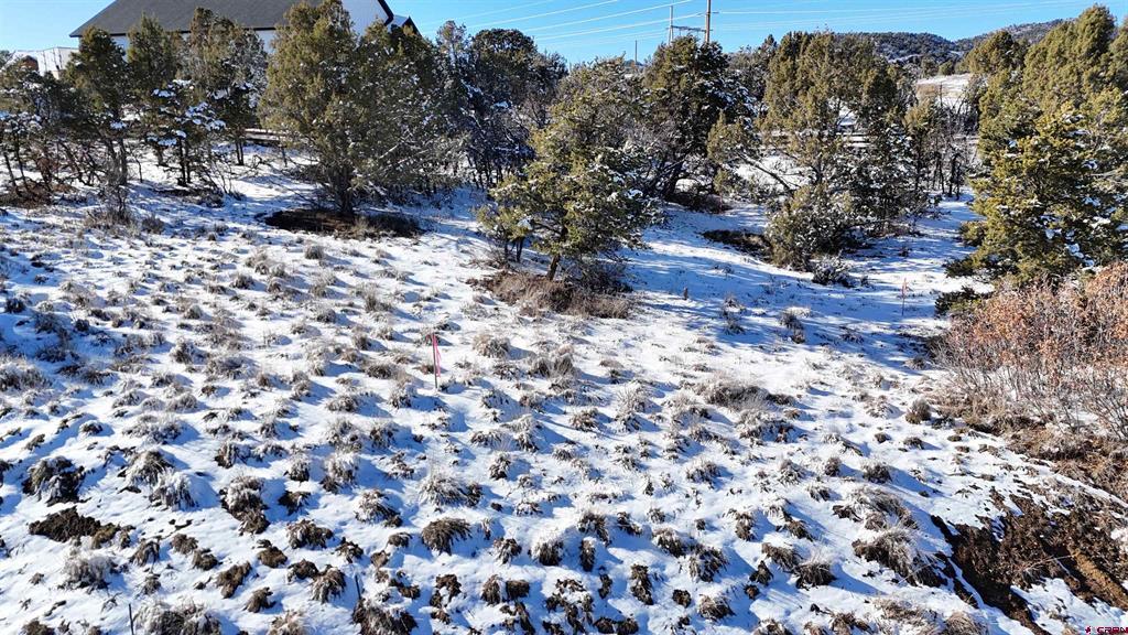 63 Salt Brush Street