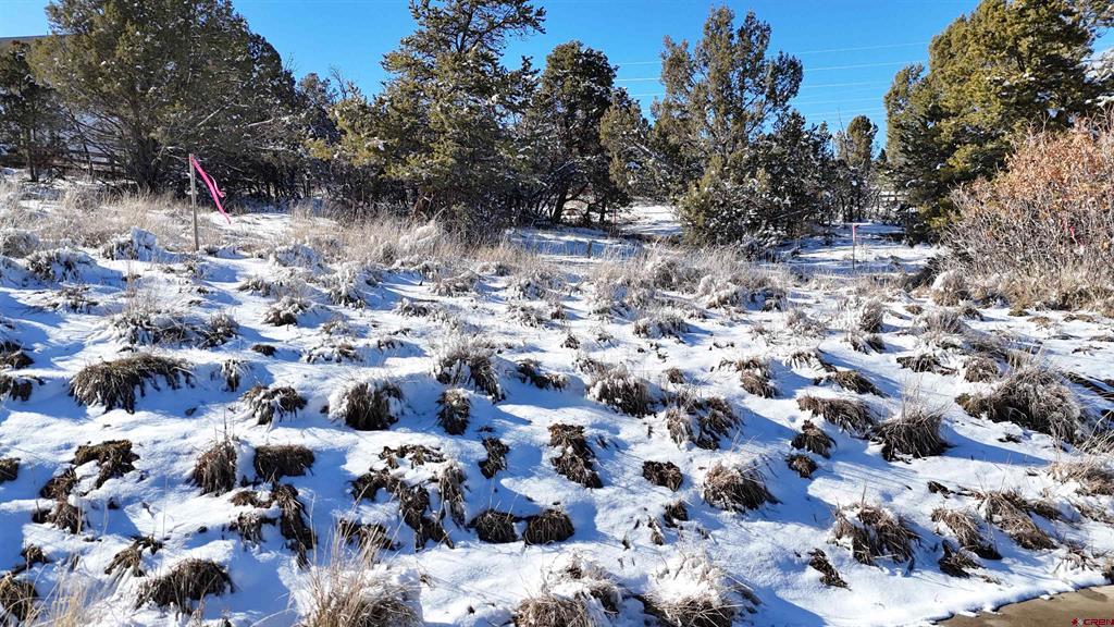 63 Salt Brush Street