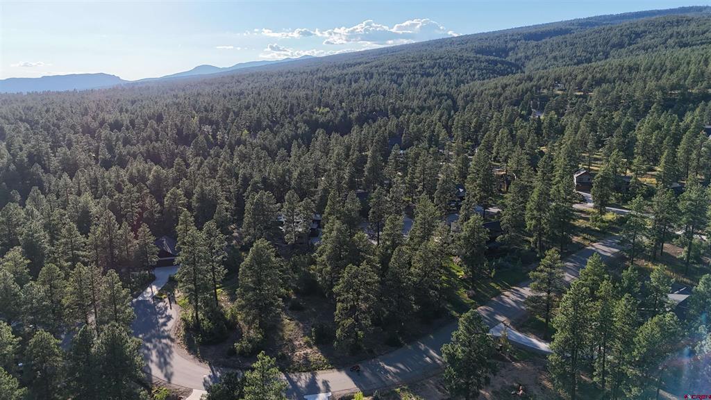 91 Engine Creek Court