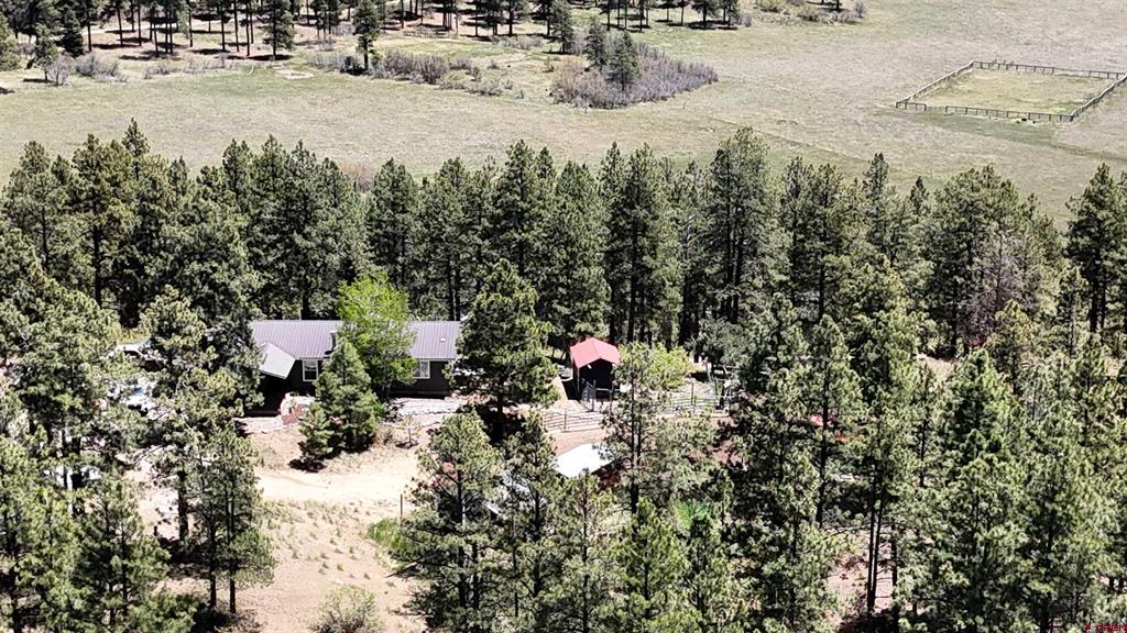 463 Chimney Drive