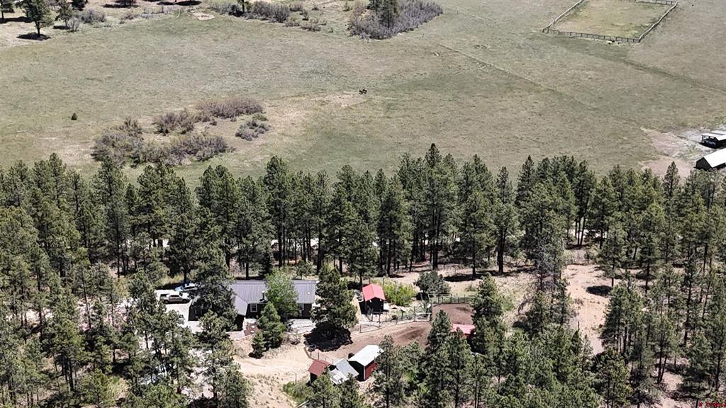 463 Chimney Drive