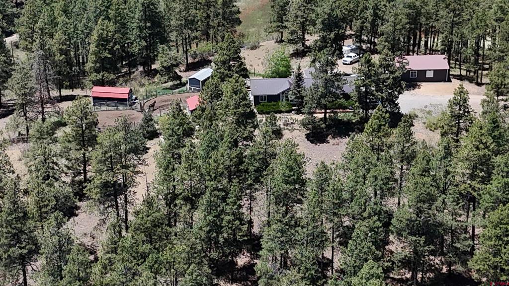 463 Chimney Drive