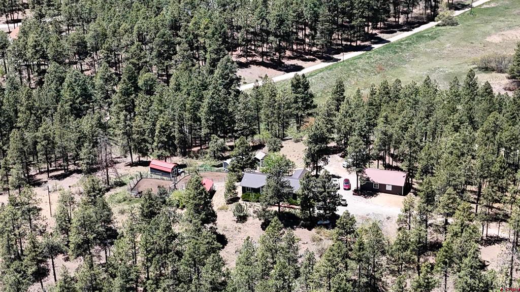 463 Chimney Drive
