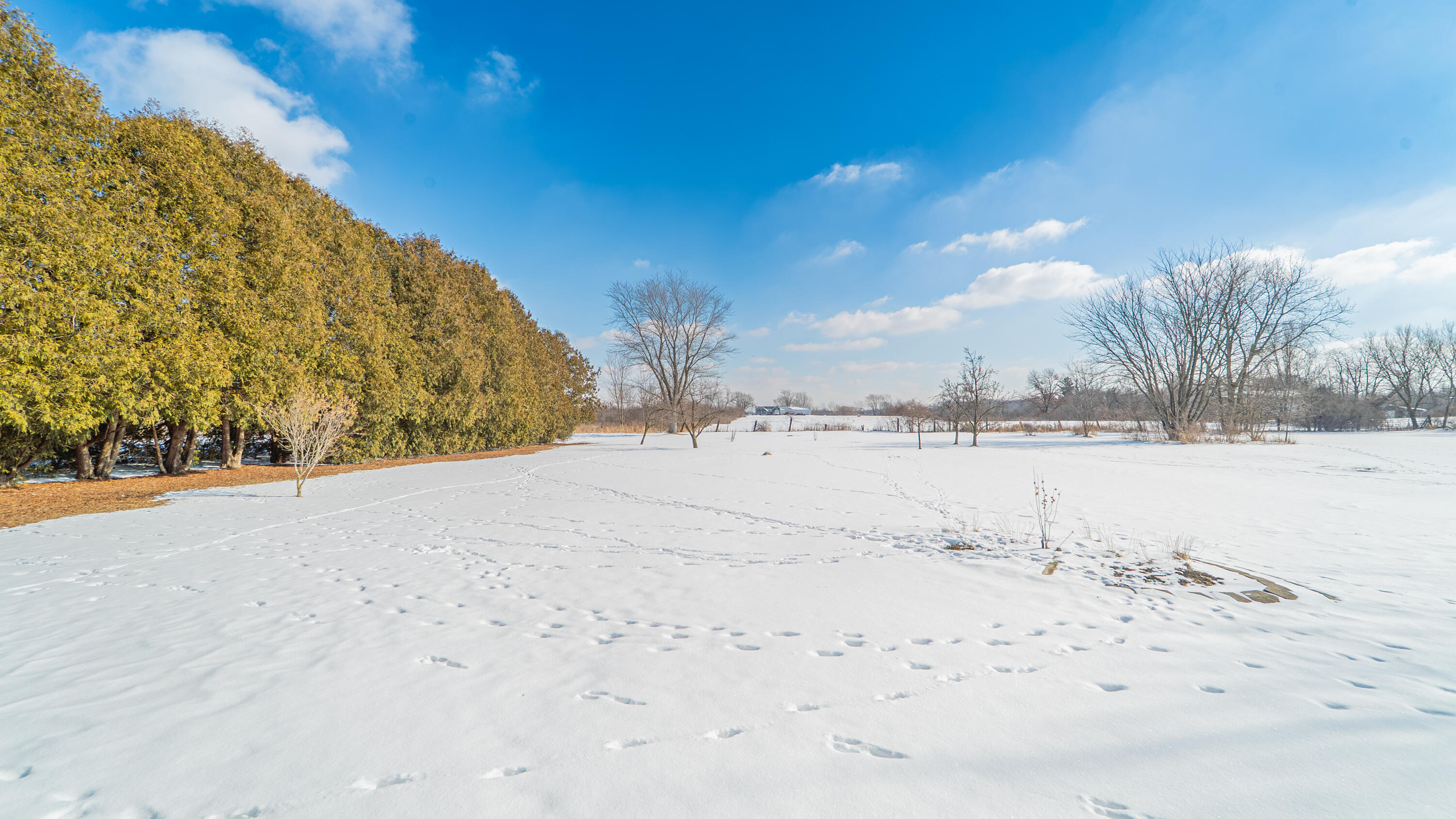 9441 S State Line Road