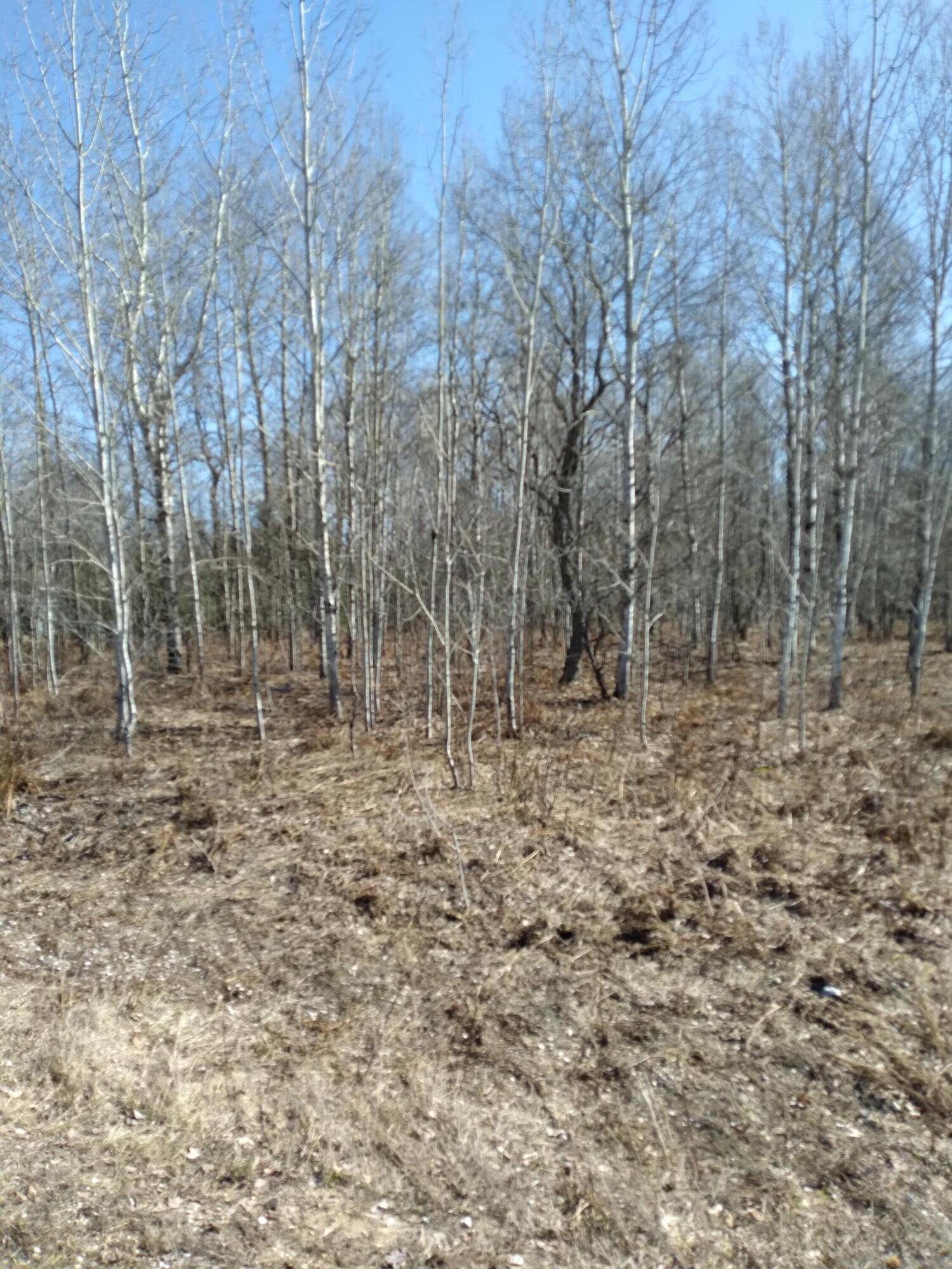 Lot 587 Wildwood Drive