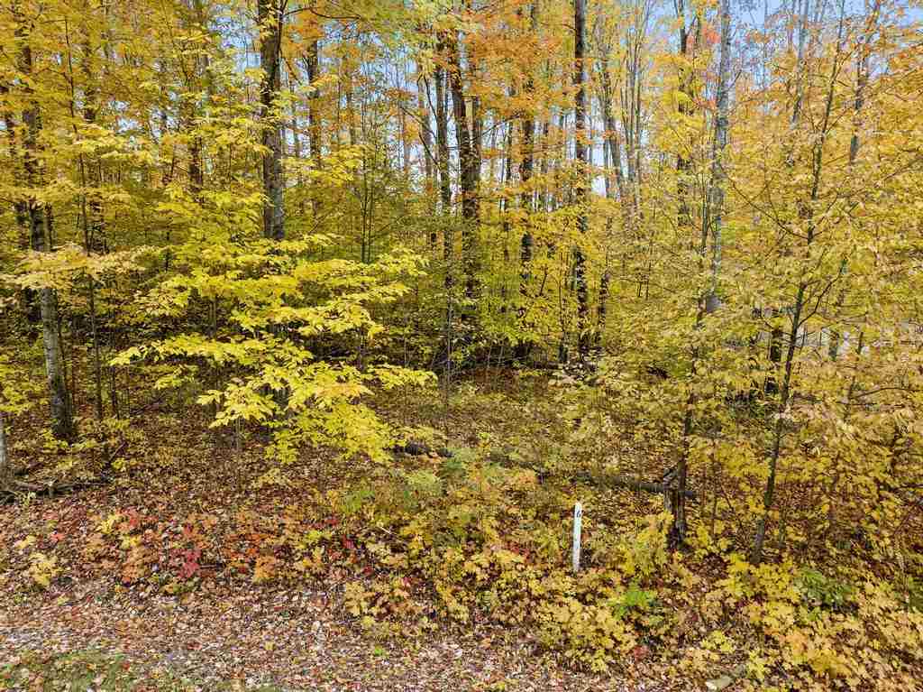 130 Fawn Run Unit: 6