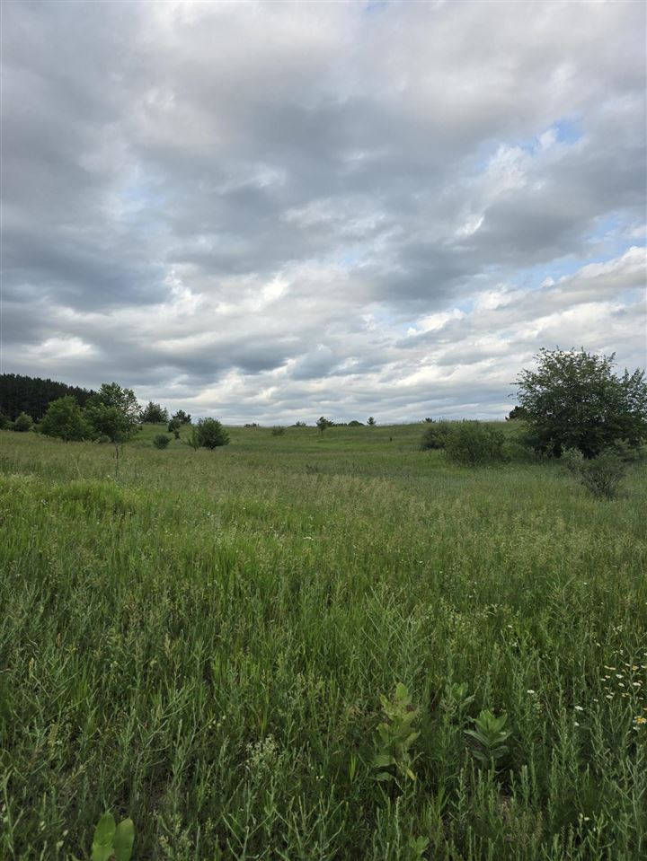 00 Sheepshead lane