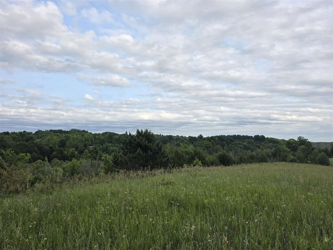 00 Sheepshead lane