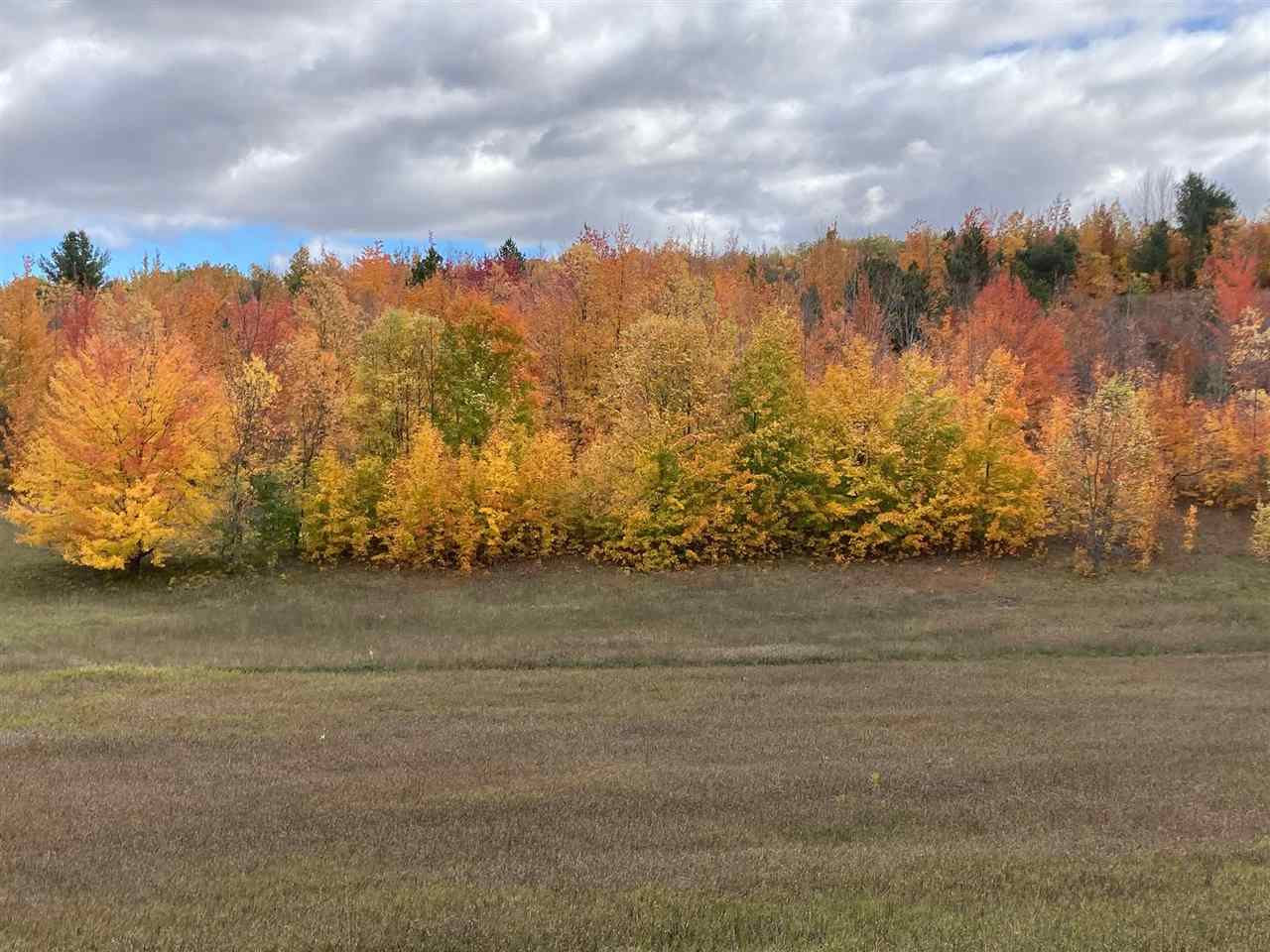 11220 Pickerel Lake Road