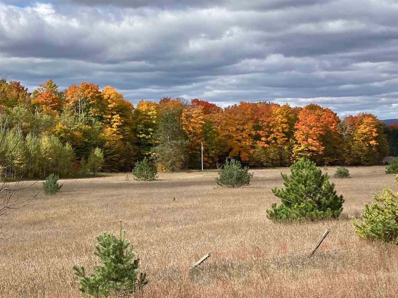 11220 Pickerel Lake Road