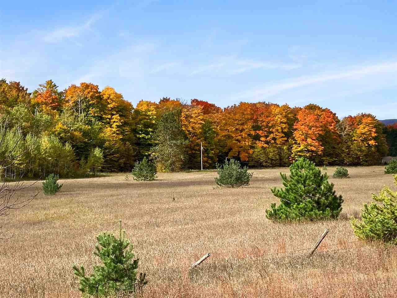 11220 Pickerel Lake Road