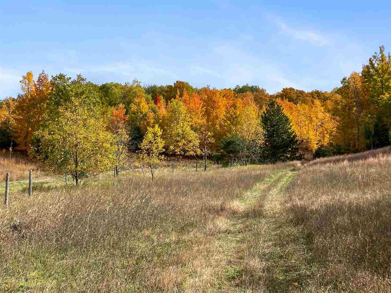 11220 Pickerel Lake Road