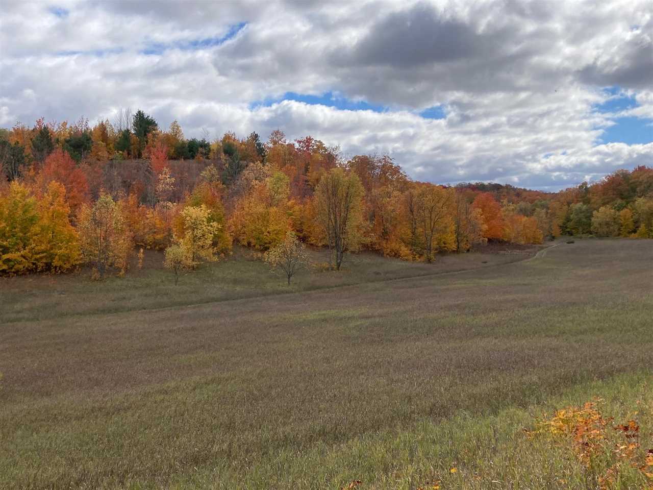 11220 Pickerel Lake Road