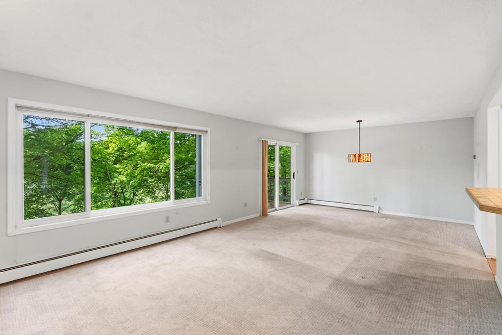 534 Elizabeth Street Unit: 3