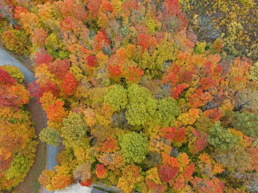 5 Lots at Fawn Run Unit: 8, 9, 11, 12, 13
