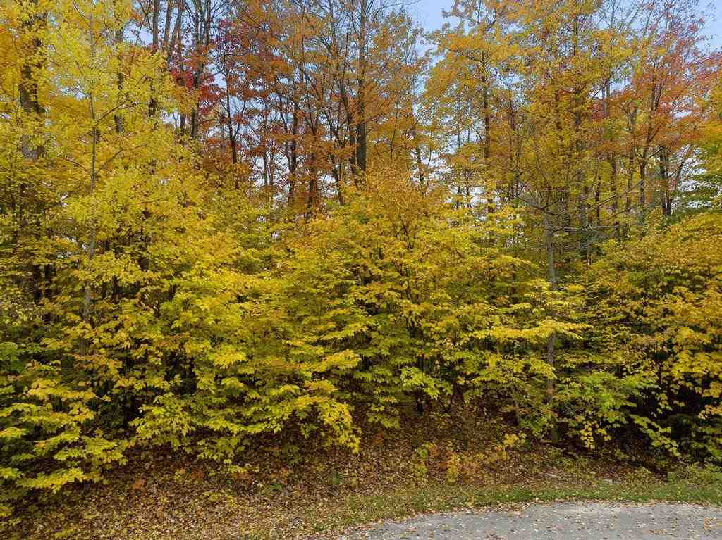 5 Lots at Fawn Run Unit: 8, 9, 11, 12, 13