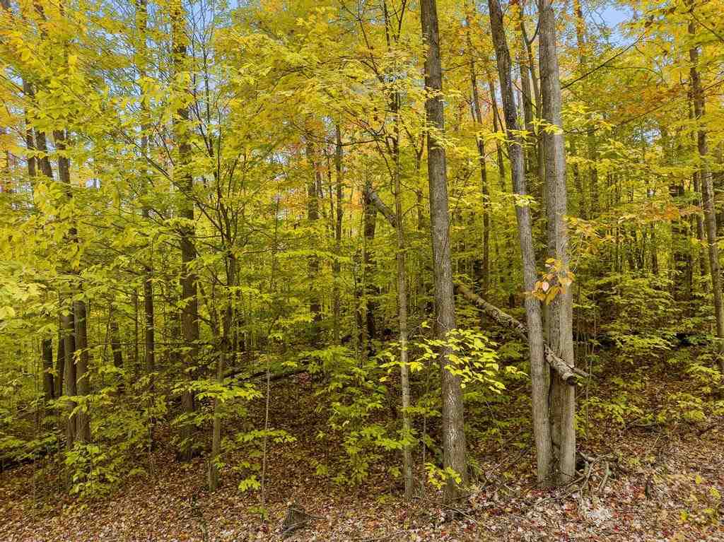 5 Lots at Fawn Run Unit: 8, 9, 11, 12, 13