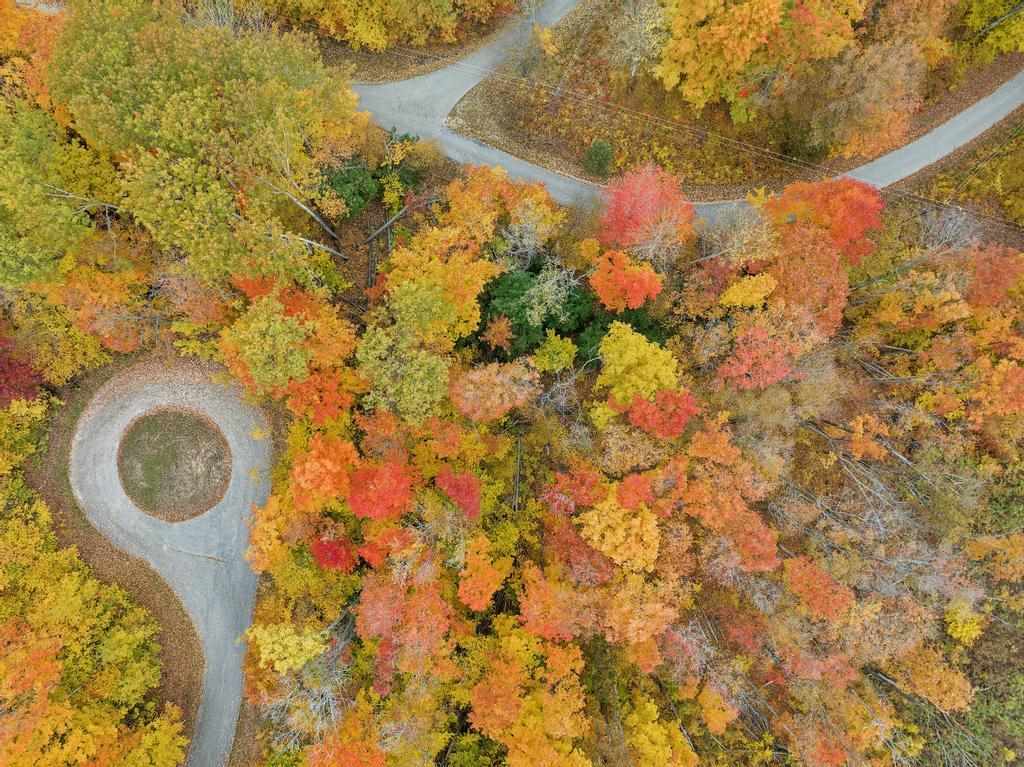 5 Lots at Fawn Run Unit: 8, 9, 11, 12, 13