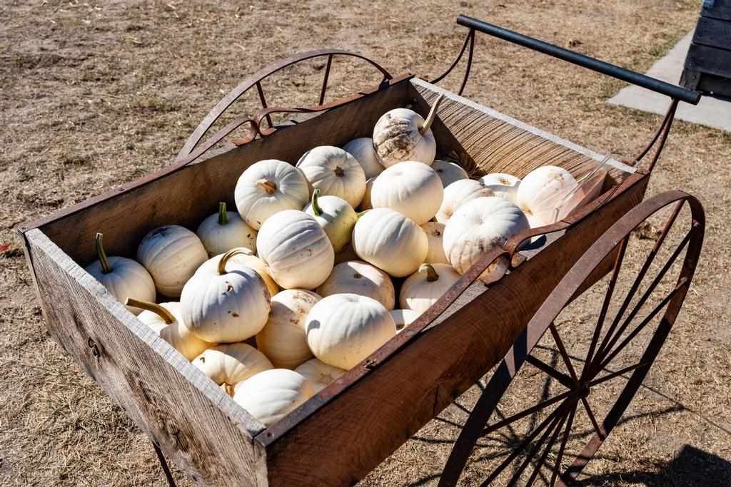 4333 S US 31 Highway