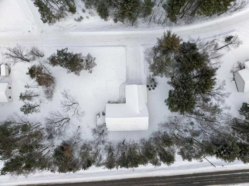 1593 Penny Lane