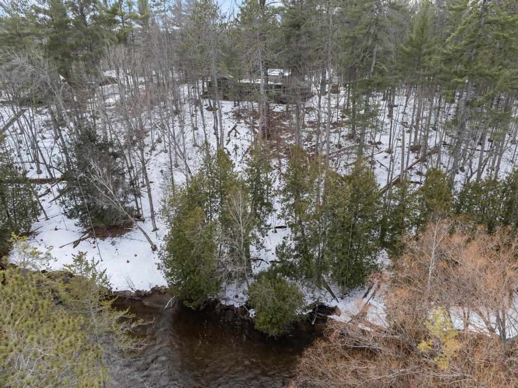 8337 Sturgeon Valley Drive