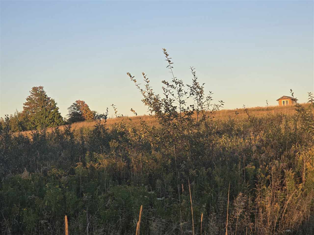 00 Beatty Road