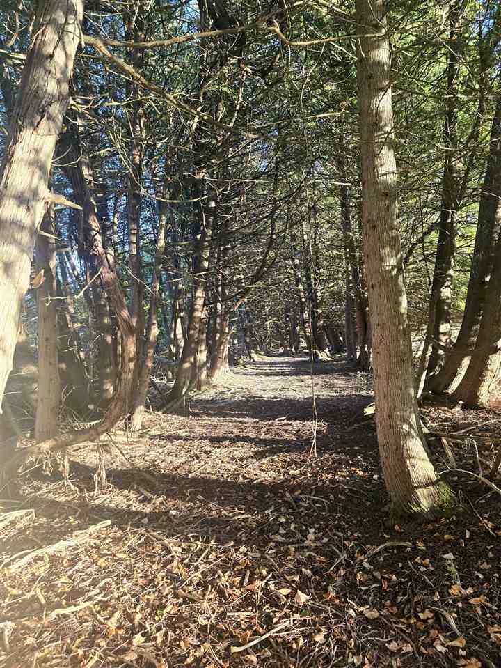 00 Beatty Road