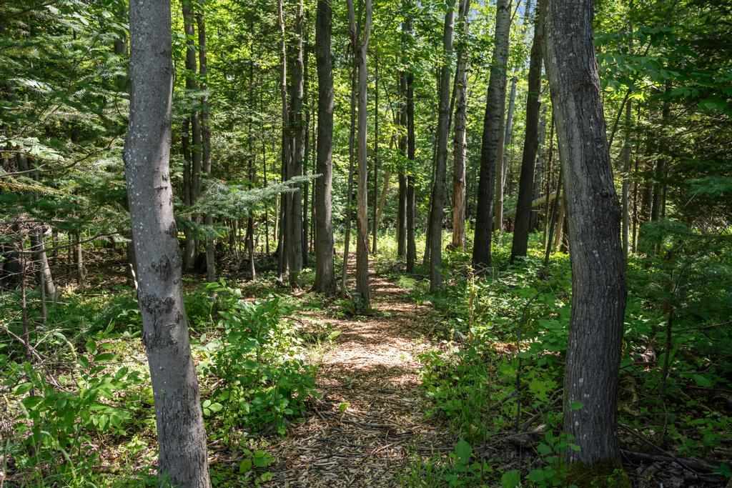 9421 Pickerel Lake Road