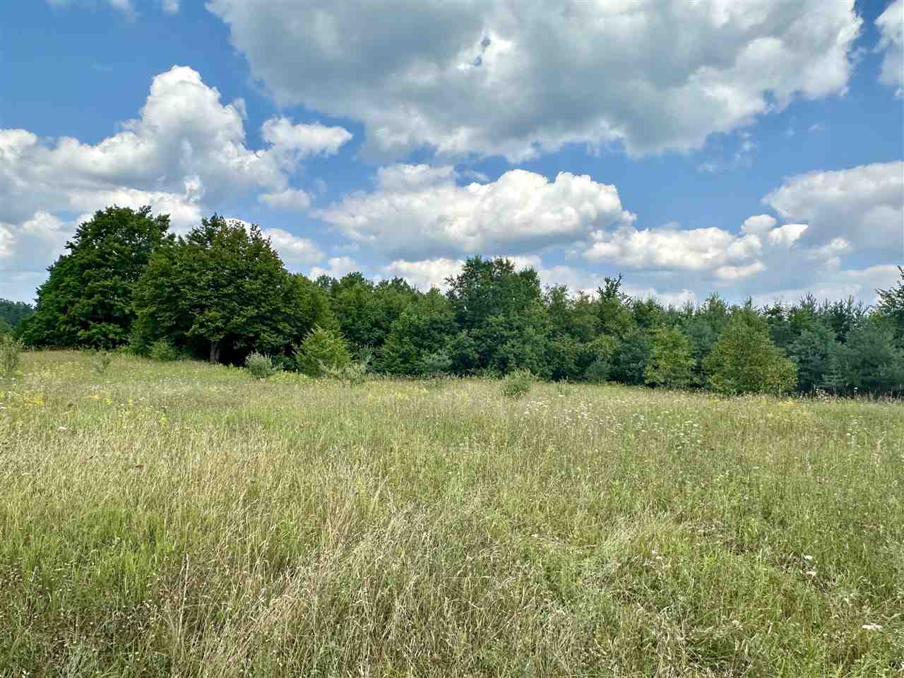 TBD Kuzmik Road