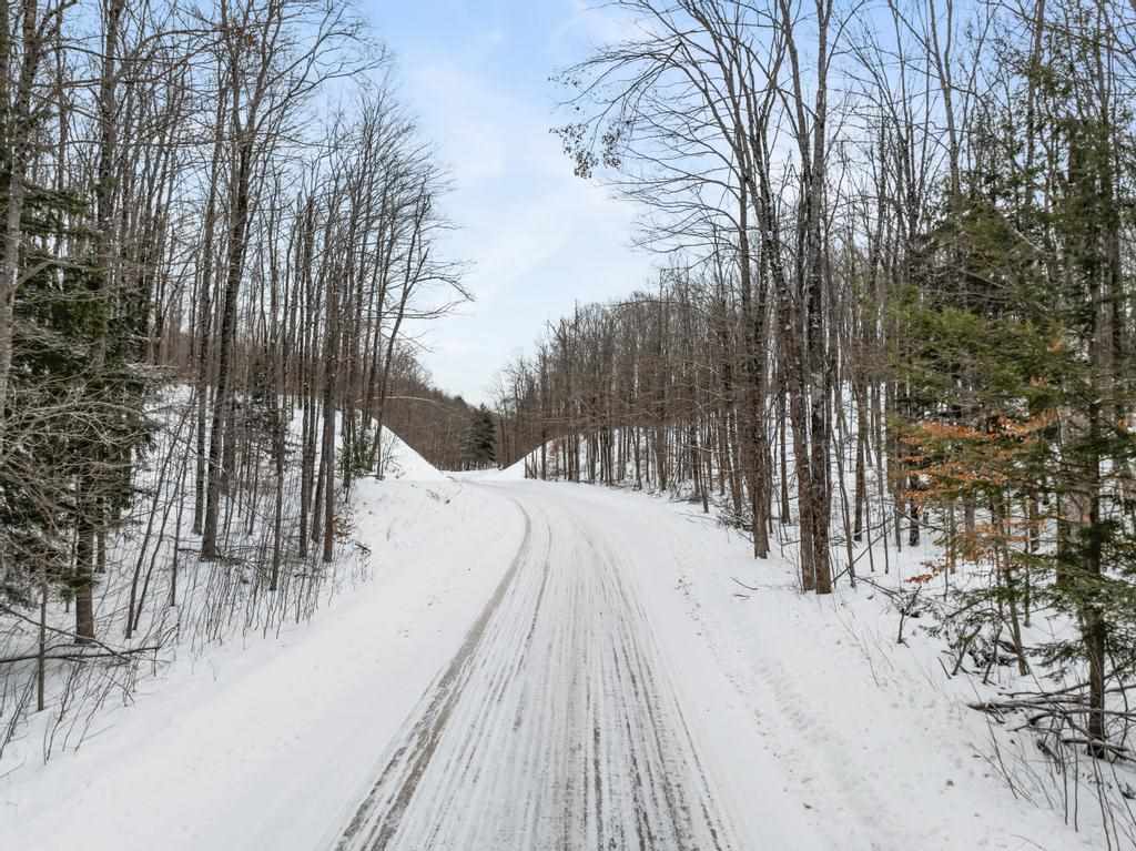 Wildwood Road