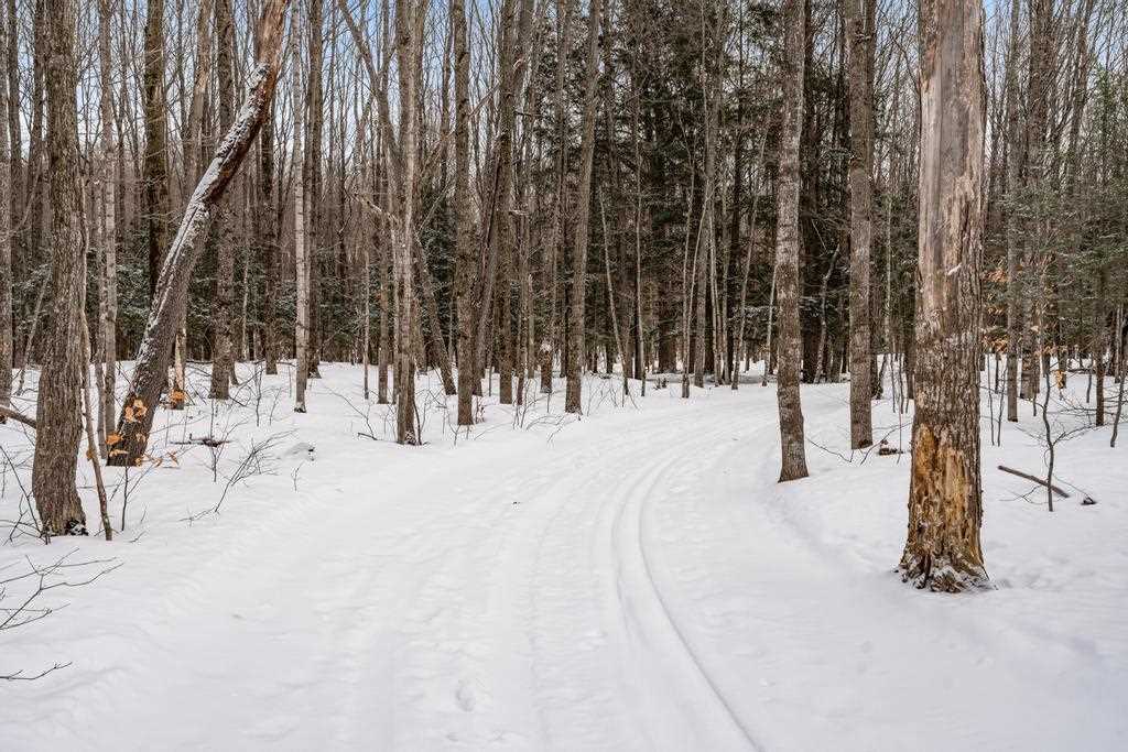 Wildwood Road