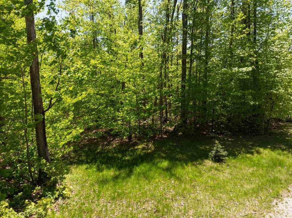 5380 Burt Lake Views Drive