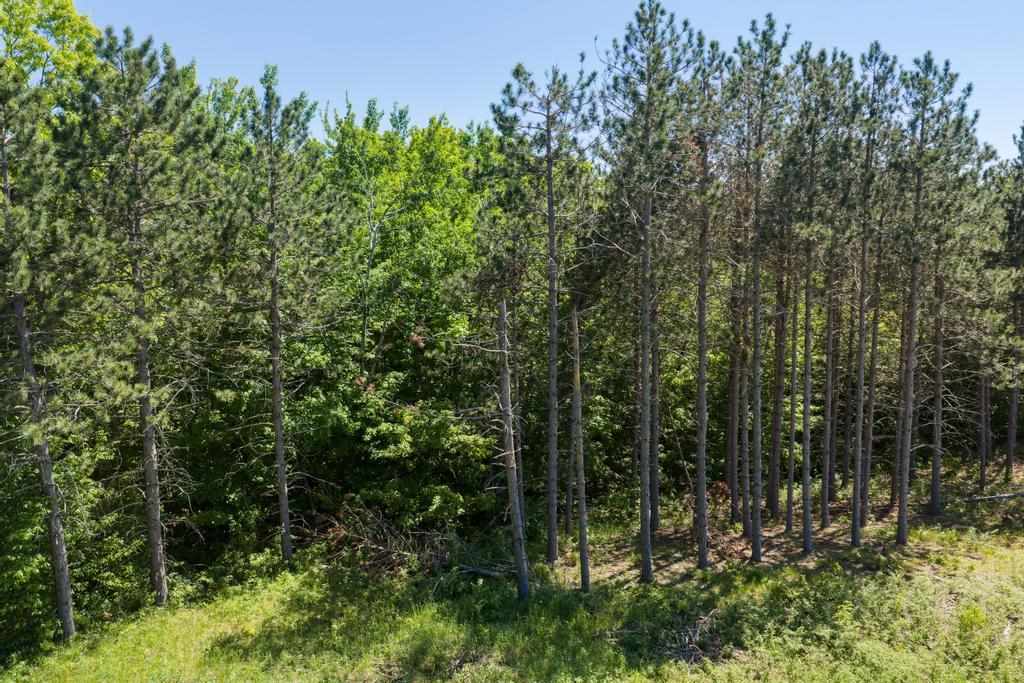 TBD Camp Daggett