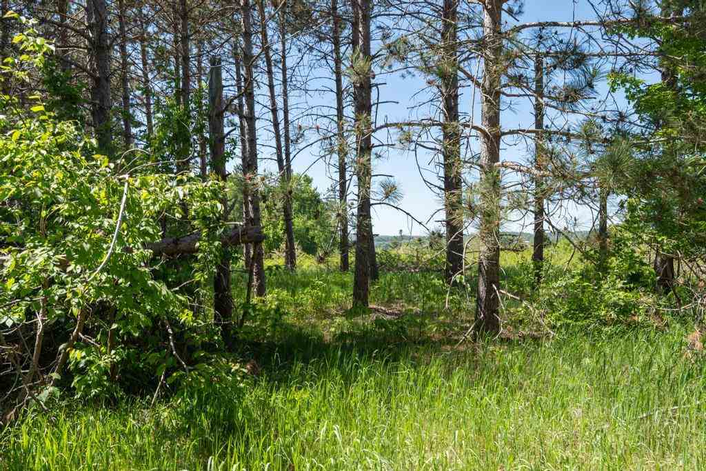 TBD Camp Daggett