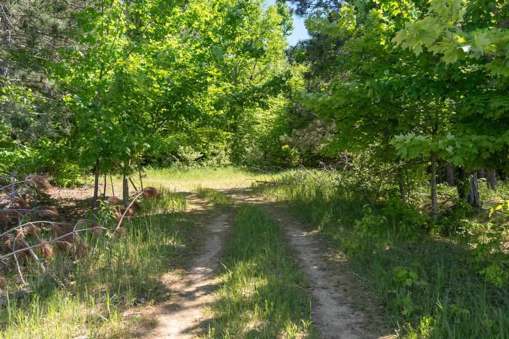 TBD Camp Daggett