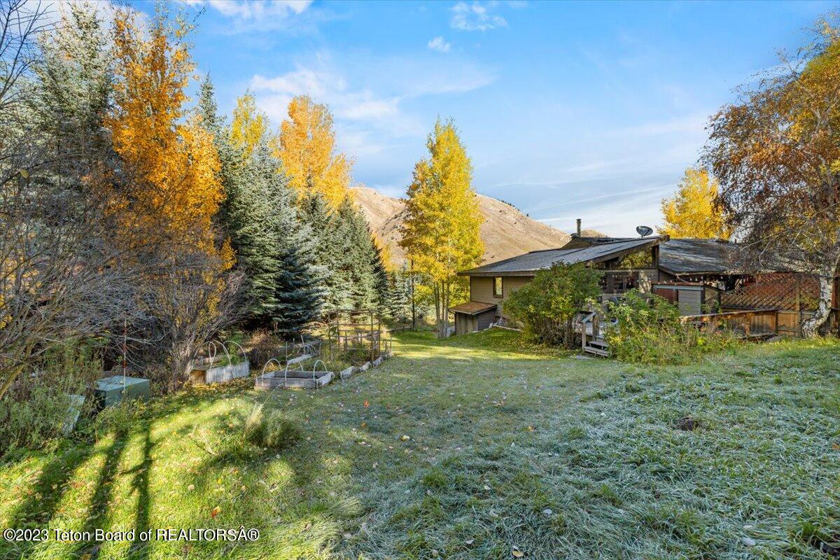 547 COULTER Avenue