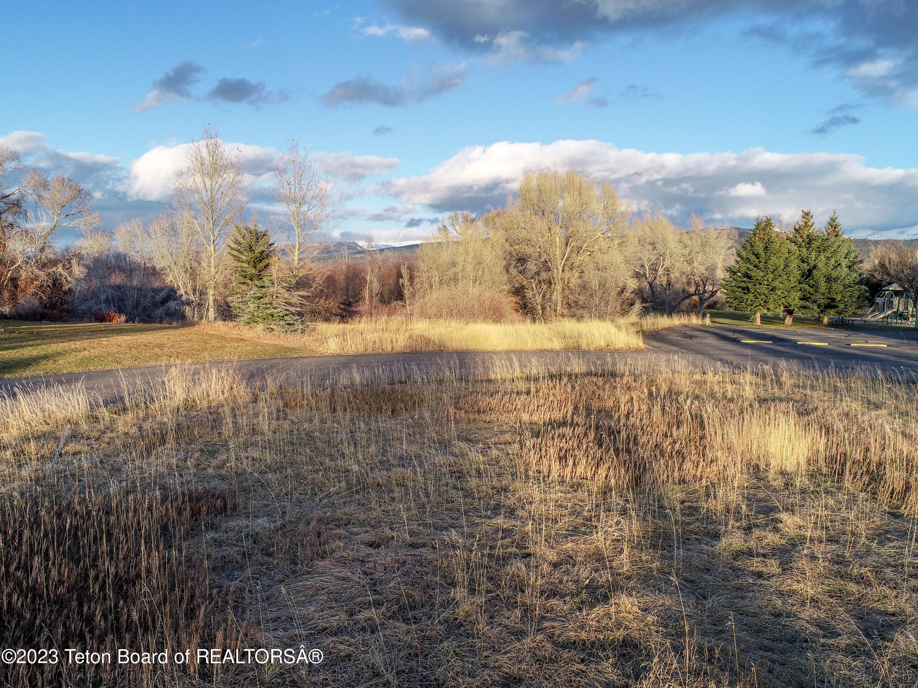 8166 BROWN TROUT Bend