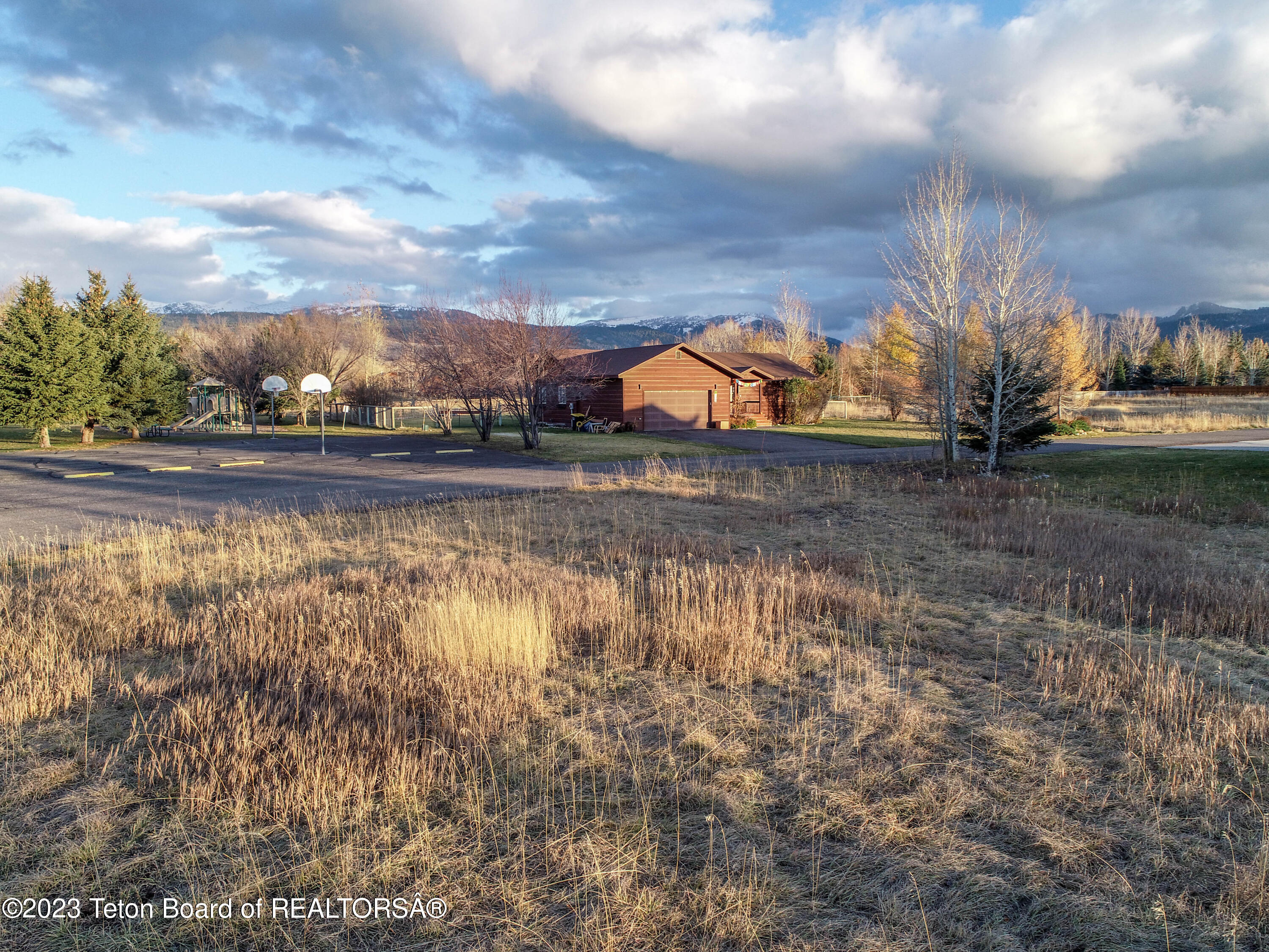8166 BROWN TROUT Bend