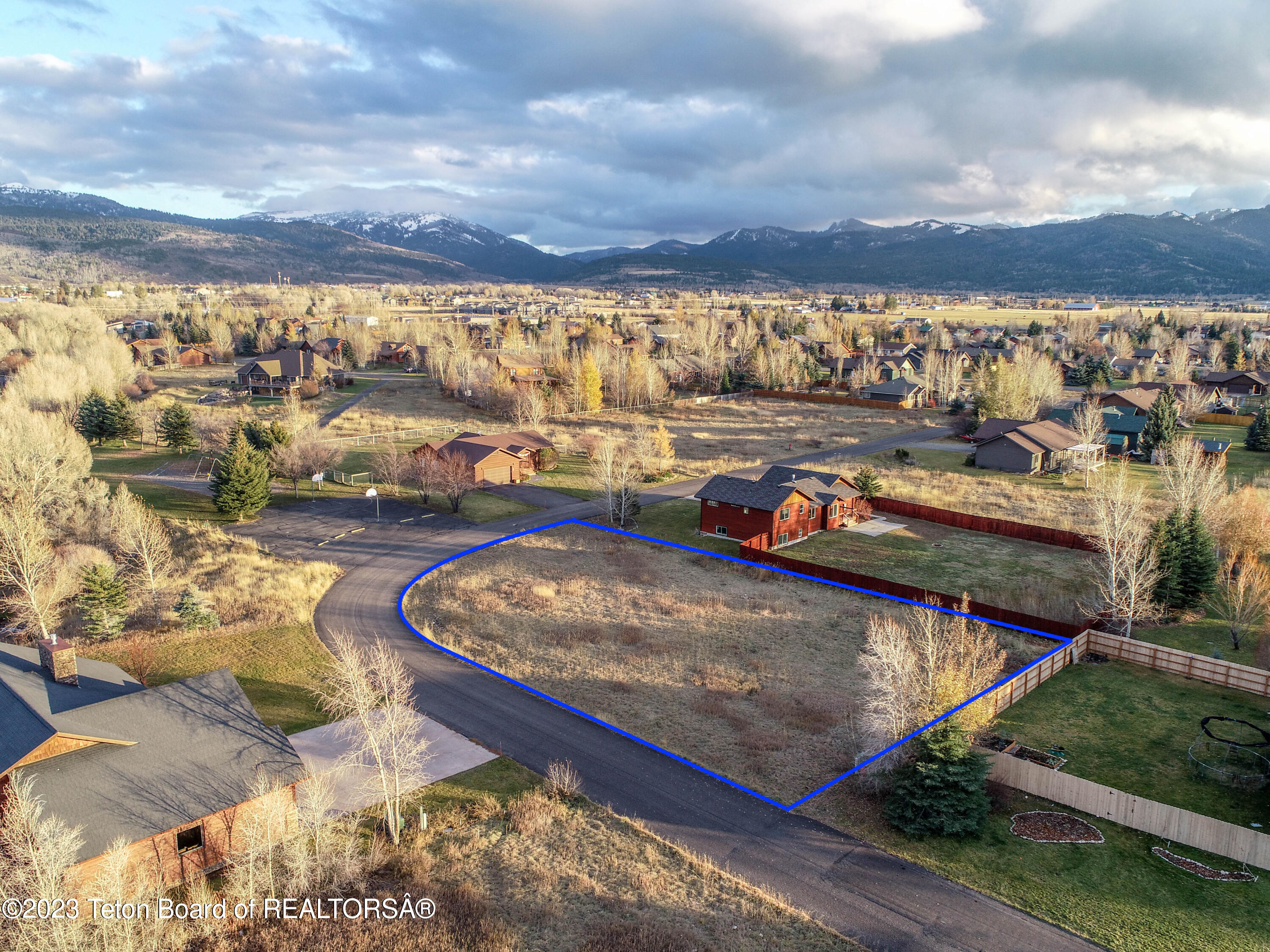 8166 BROWN TROUT Bend