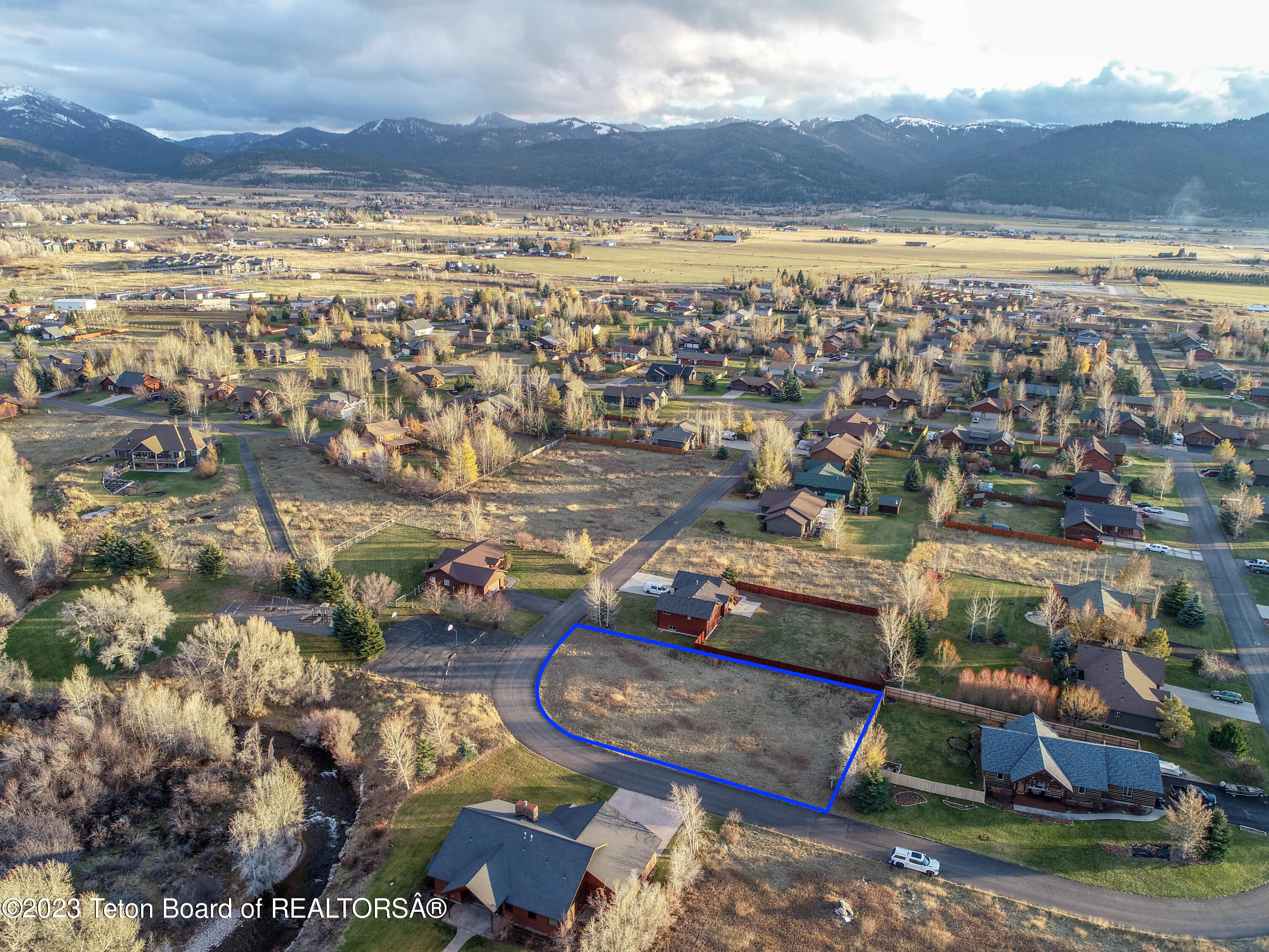 8166 BROWN TROUT Bend