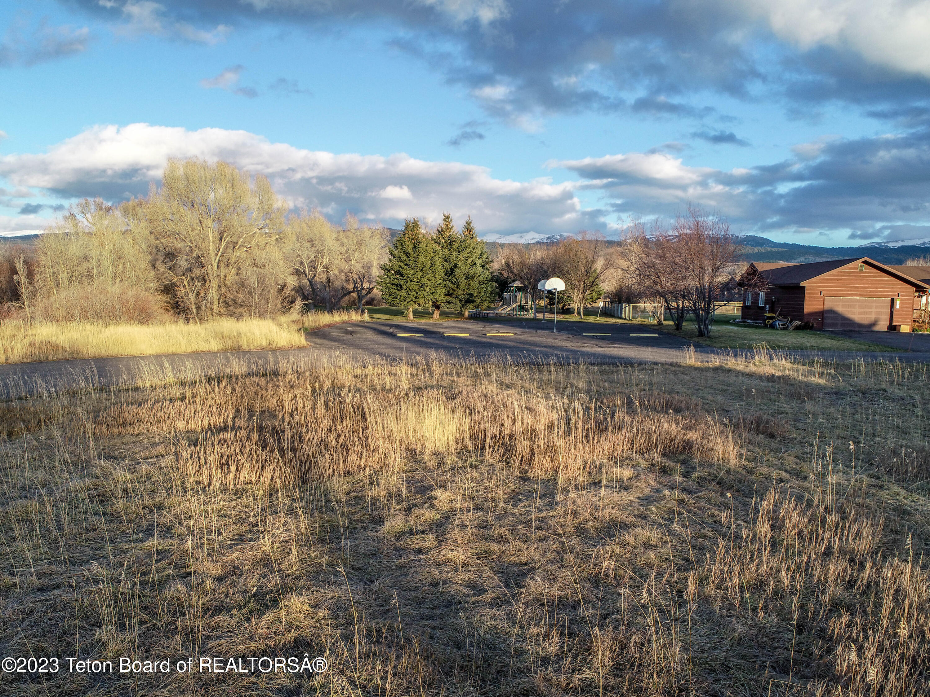 8166 BROWN TROUT Bend