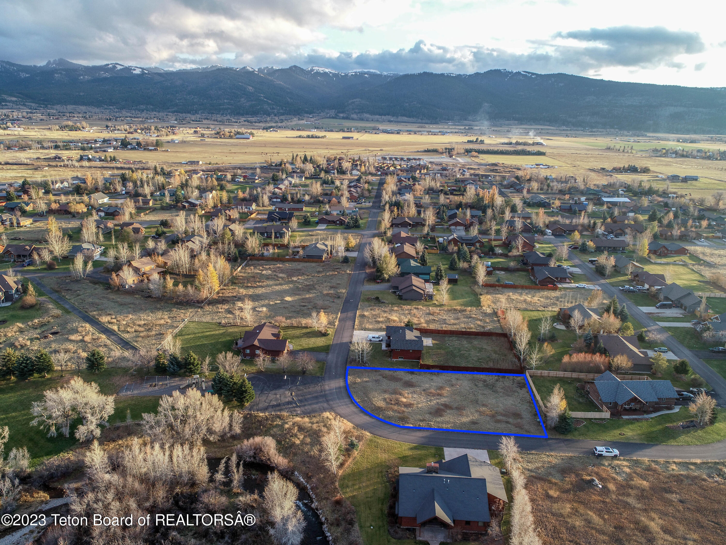8166 BROWN TROUT Bend