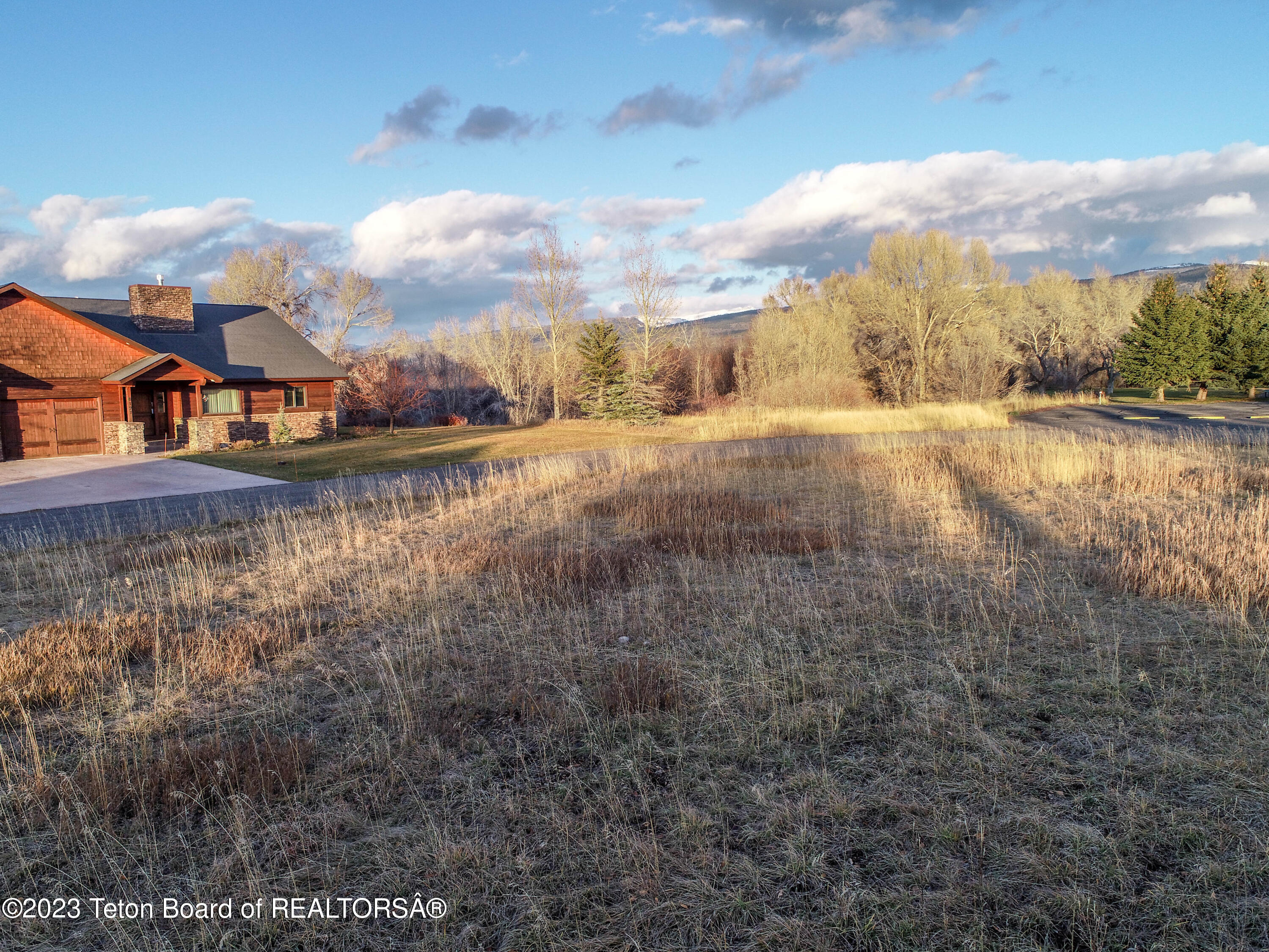 8166 BROWN TROUT Bend