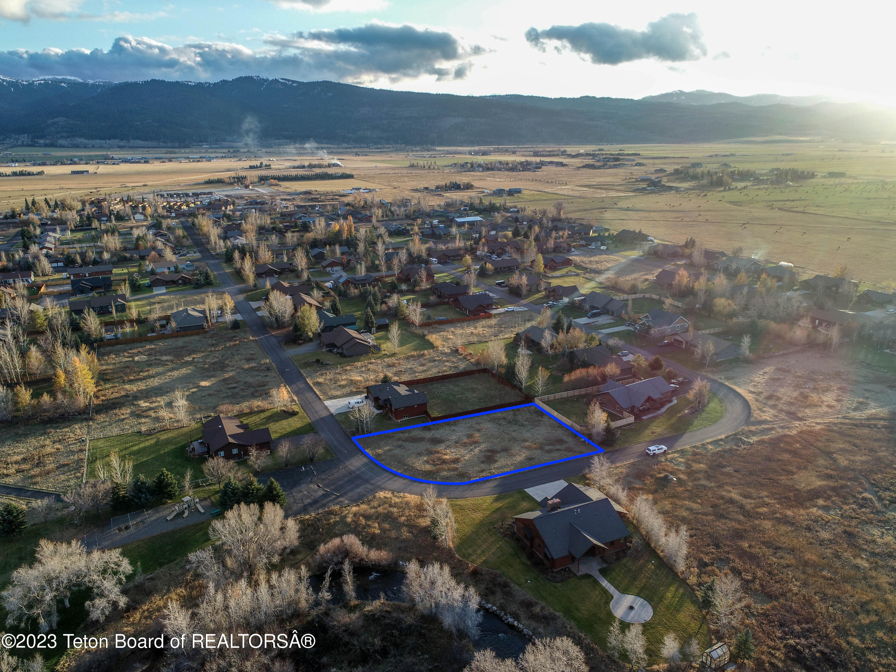 8166 BROWN TROUT Bend
