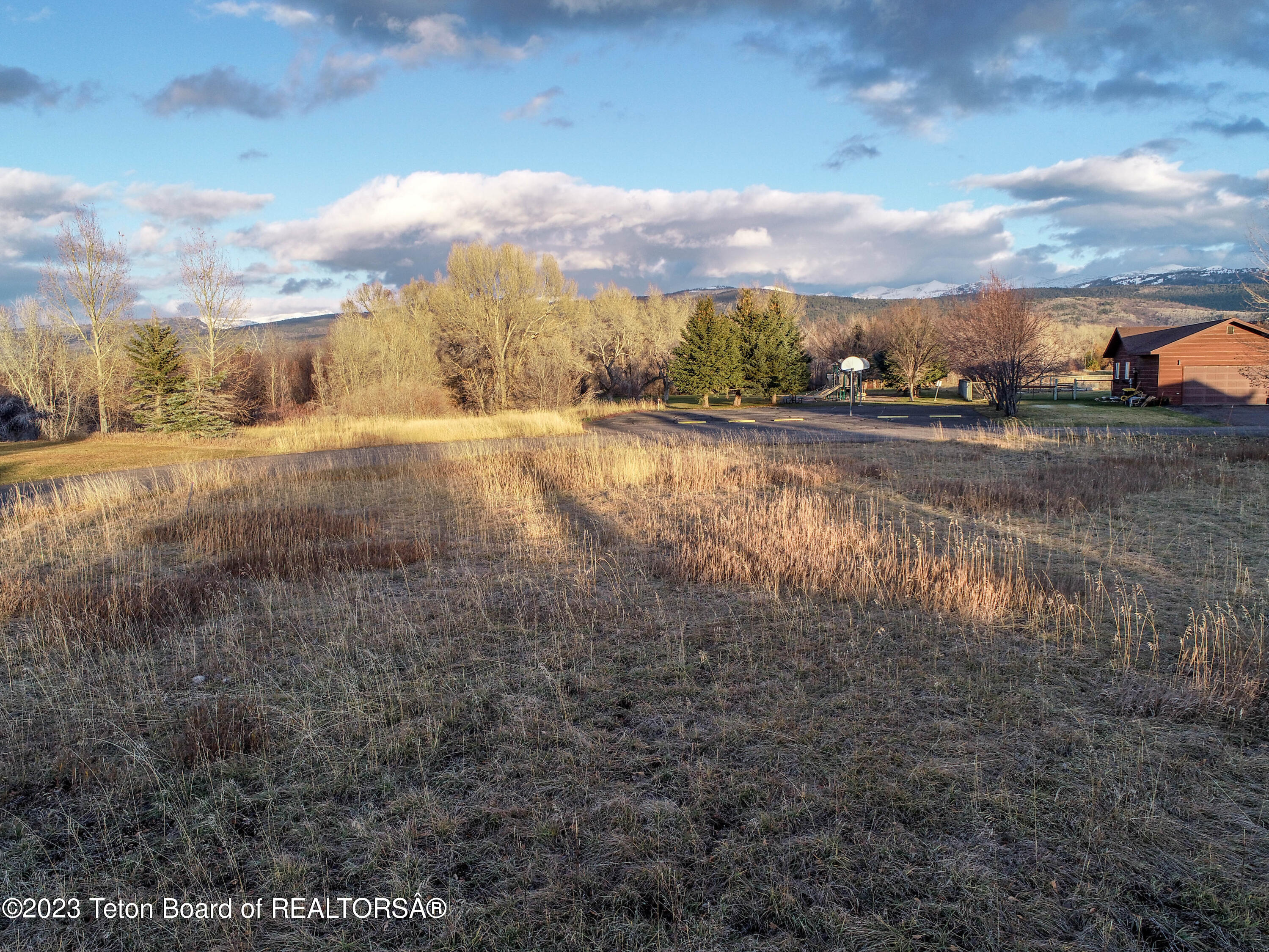 8166 BROWN TROUT Bend