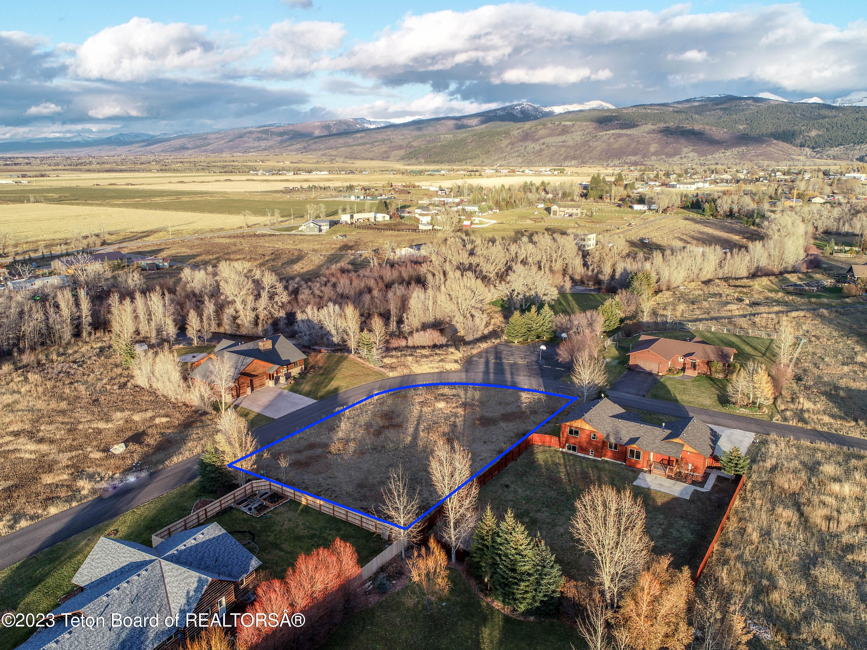 8166 BROWN TROUT Bend